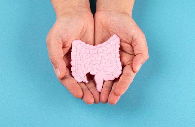 disbiosi intestinale